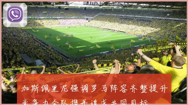 加斯佩里尼强调罗马阵容齐整提升竞争力全队携手追求共同目标