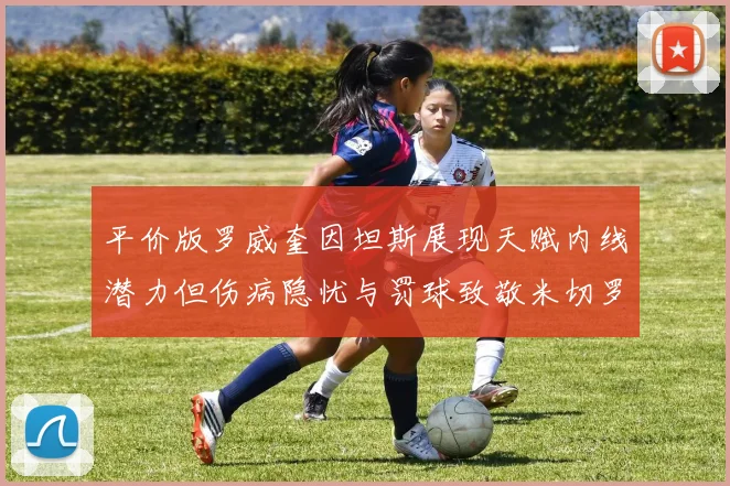 平价版罗威奎因坦斯展现天赋内线潜力但伤病隐忧与罚球致敬米切罗